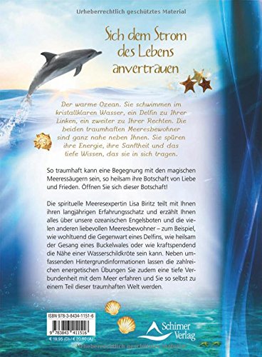 Wal in der Ostsee Rettung